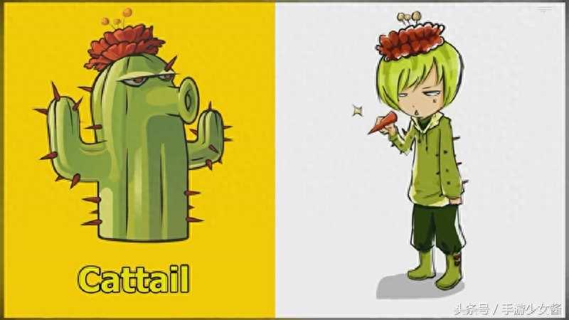 植物大战僵尸植物拟人图：仙人掌是个小正太，猫尾萌我一脸血